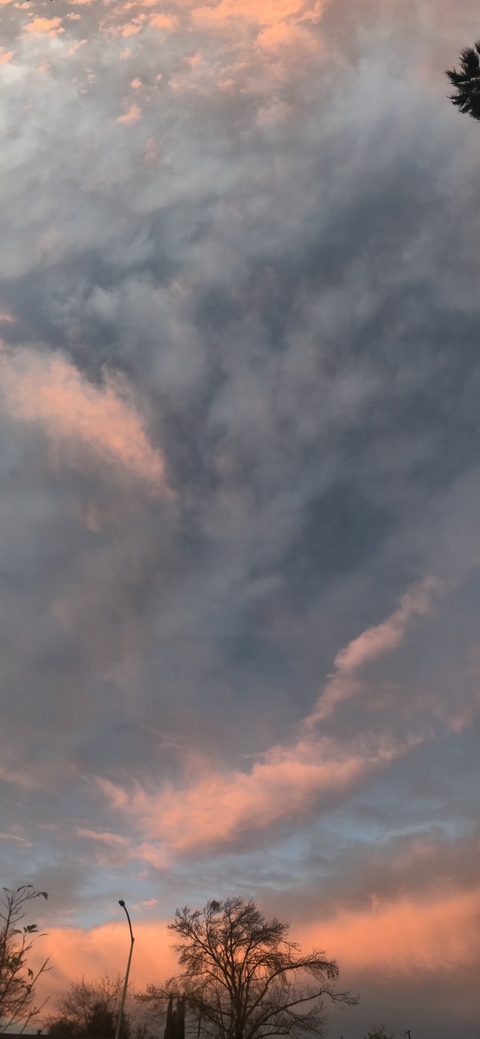 Nessa @putatas666 cover picture