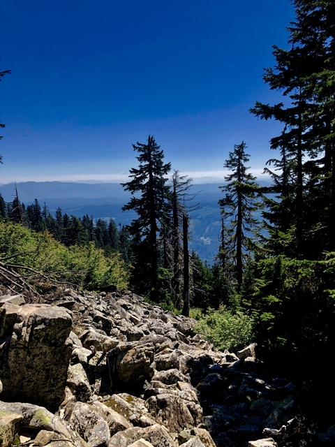 Dallas @pwndallas cover picture