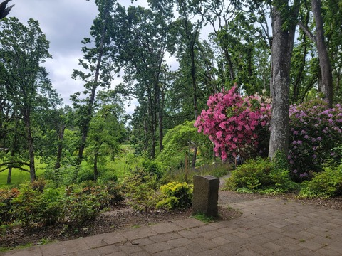 Queen Bean @queen.bean cover picture