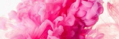 Lorena Guglielmi @queen_of_trash cover picture