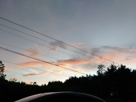 Queen Bee @queenbeec cover picture