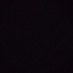 queenbi Profile Picture