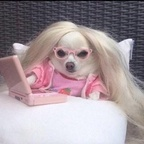 rachxl Profile Picture