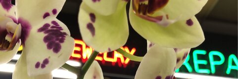 R.A.F @raf0511 cover picture