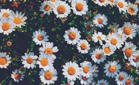 Raine @rainebow cover picture