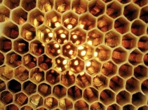 Ram me @ramme cover picture