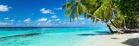 Ramon nomaR @ramonxxxnomar cover picture