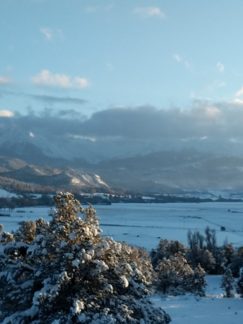 UNHOLYpatience @ranitidine cover picture