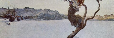 RA Solaris @rasolaris cover picture