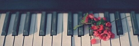 Raven Brown @ravenmaree cover picture