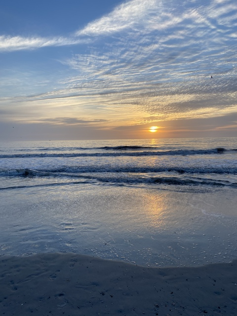 Ray @rayraystingray cover picture