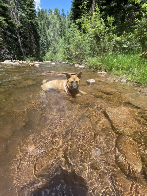 Reagan @reagann007 cover picture