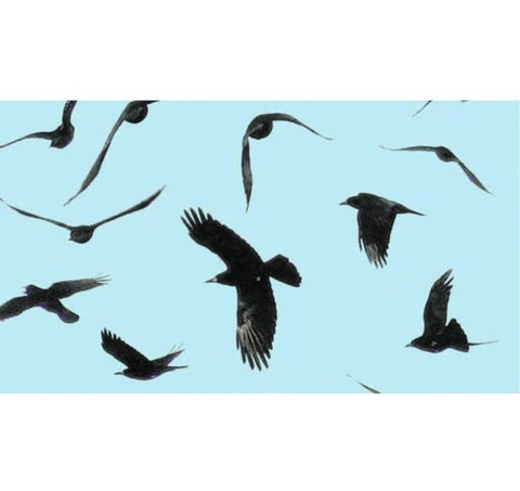 Rebell.030 @rebell.030 cover picture