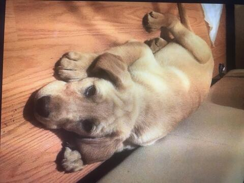 Frankie baby @redefinition cover picture