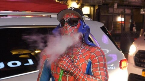 RedRobin03 @redrobin03 cover picture