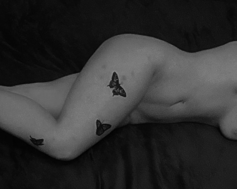 Roselle🌹 @redroselle cover picture