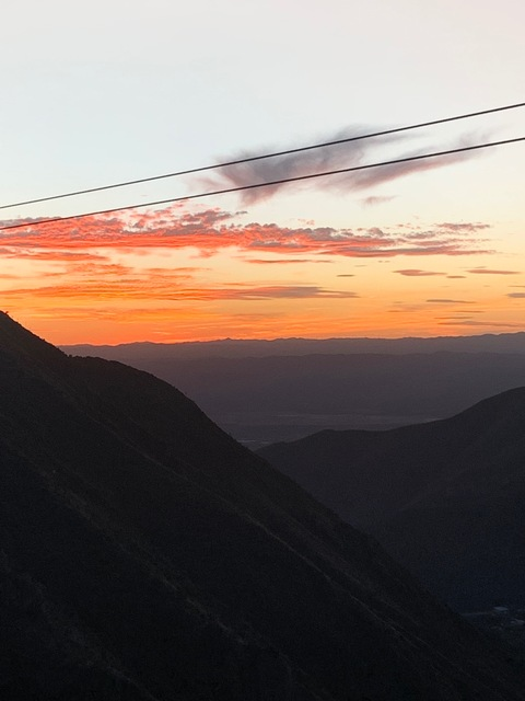 Regina @reginah cover picture