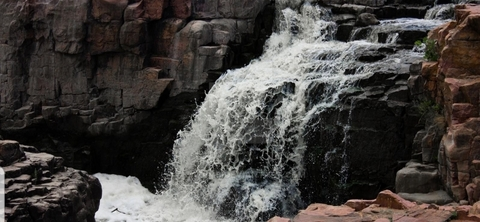 Freddie @results cover picture