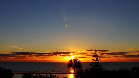 Kevin Rexus @rexus92 cover picture