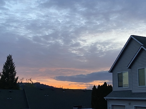 ribcage 💀 @ribcage cover picture