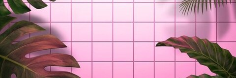 Riley @riles cover picture