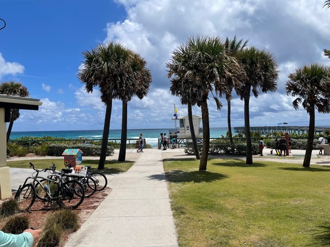 Rico @rl239 cover picture