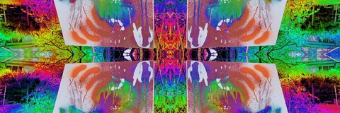 Evy! (she/her) @ro0tgrrrl cover picture