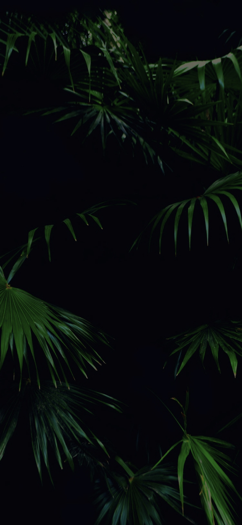 Rob @robbbb69 cover picture