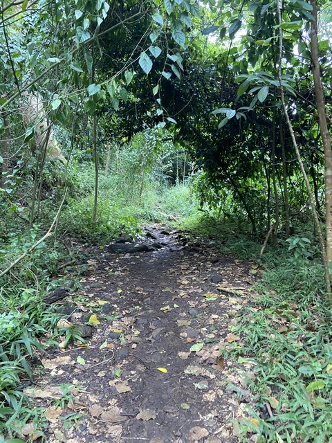 Rodzzz06 @rodzzz06 cover picture