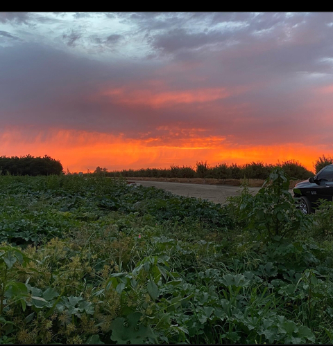 Rob hern @roho21 cover picture