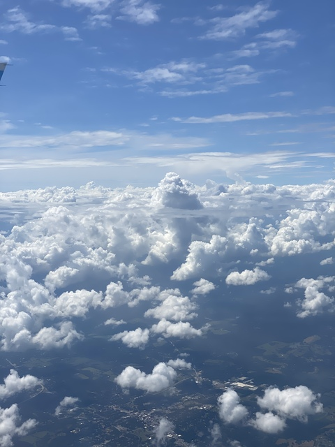 Rojolobo @rojolobo cover picture