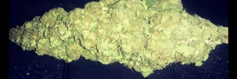 Steady Lifted @rollingstoner37 cover picture