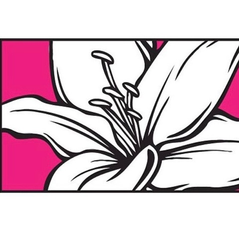 Rome @rome671 cover picture