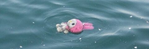 rose 🌹 @rosemary_iocco cover picture