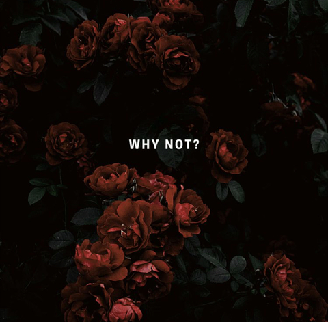 Rosie @rosieposie4u cover picture