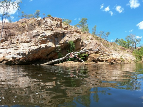 RoughNut @roughnut cover picture