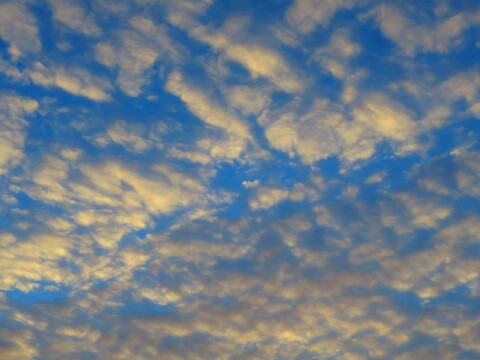 Roxy Adams @roxyadams cover picture