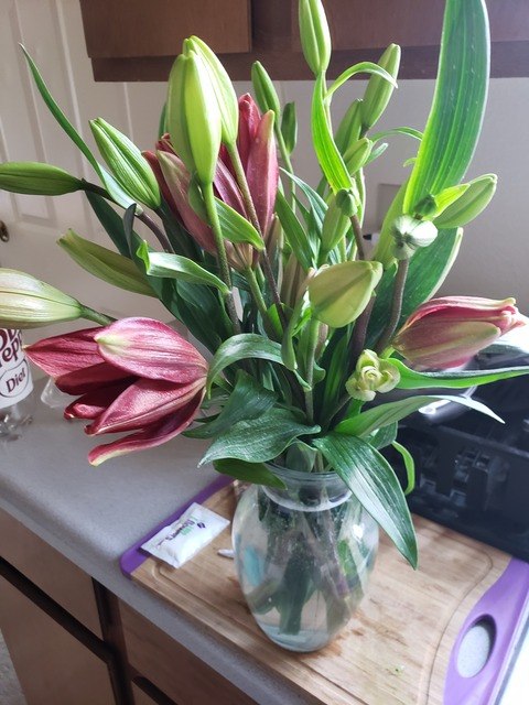 Ruby Edwell @rubyedwell cover picture