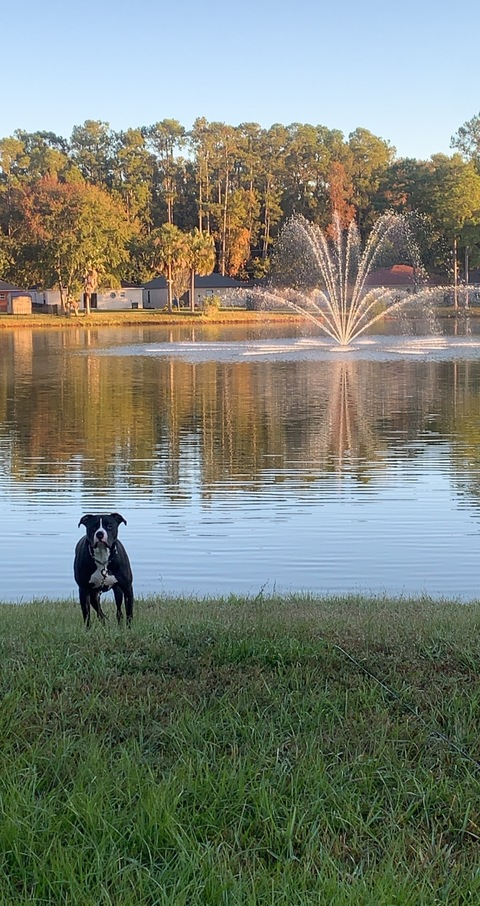 Nate @rummyrumrum cover picture