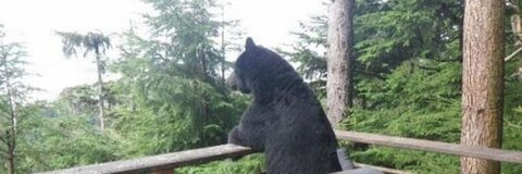 rhiannon @rwillowm cover picture