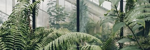 rach @rxchelxdwig cover picture