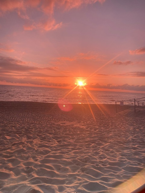 sophie @s00phie cover picture