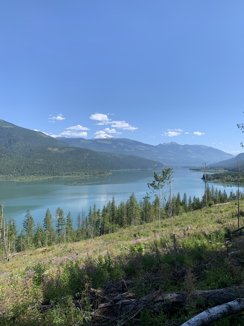 —sabato— @sabato cover picture