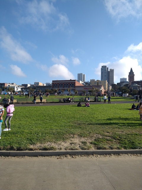 Sactown91 @sactown91 cover picture