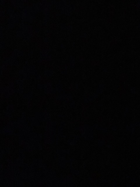 Sadie @sadiesmith13 cover picture