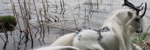 Sage3 @sage_mage cover picture