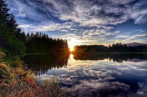 Saia M @saiamarie cover picture