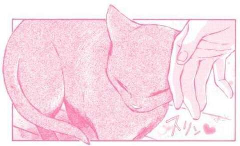 SailorKush @sailorkush cover picture