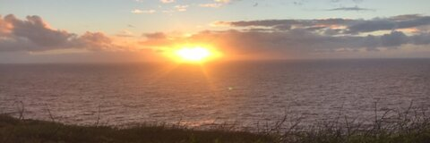 Saizo @saizo cover picture