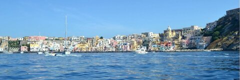 Sage 🍍 @saja_2011 cover picture